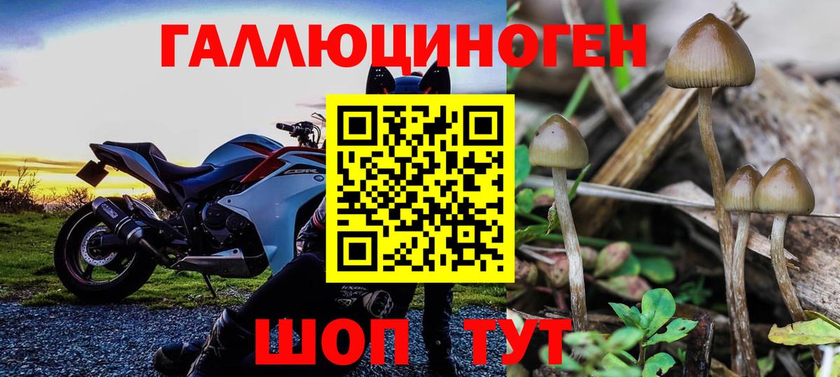 Галлюциногенные грибы MAGIC MUSHROOMS  Вход с VPN  Лениногорск 