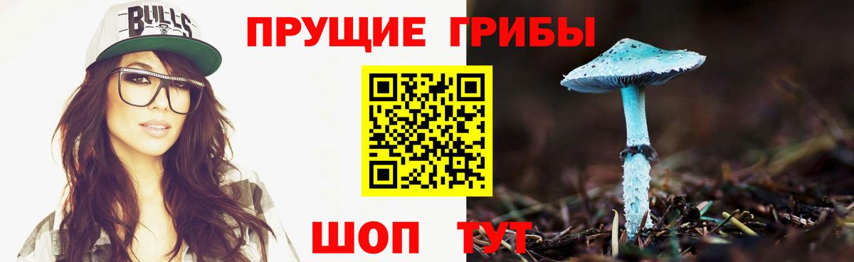 Псилоцибиновые грибы GOLDEN TEACHER Лениногорск